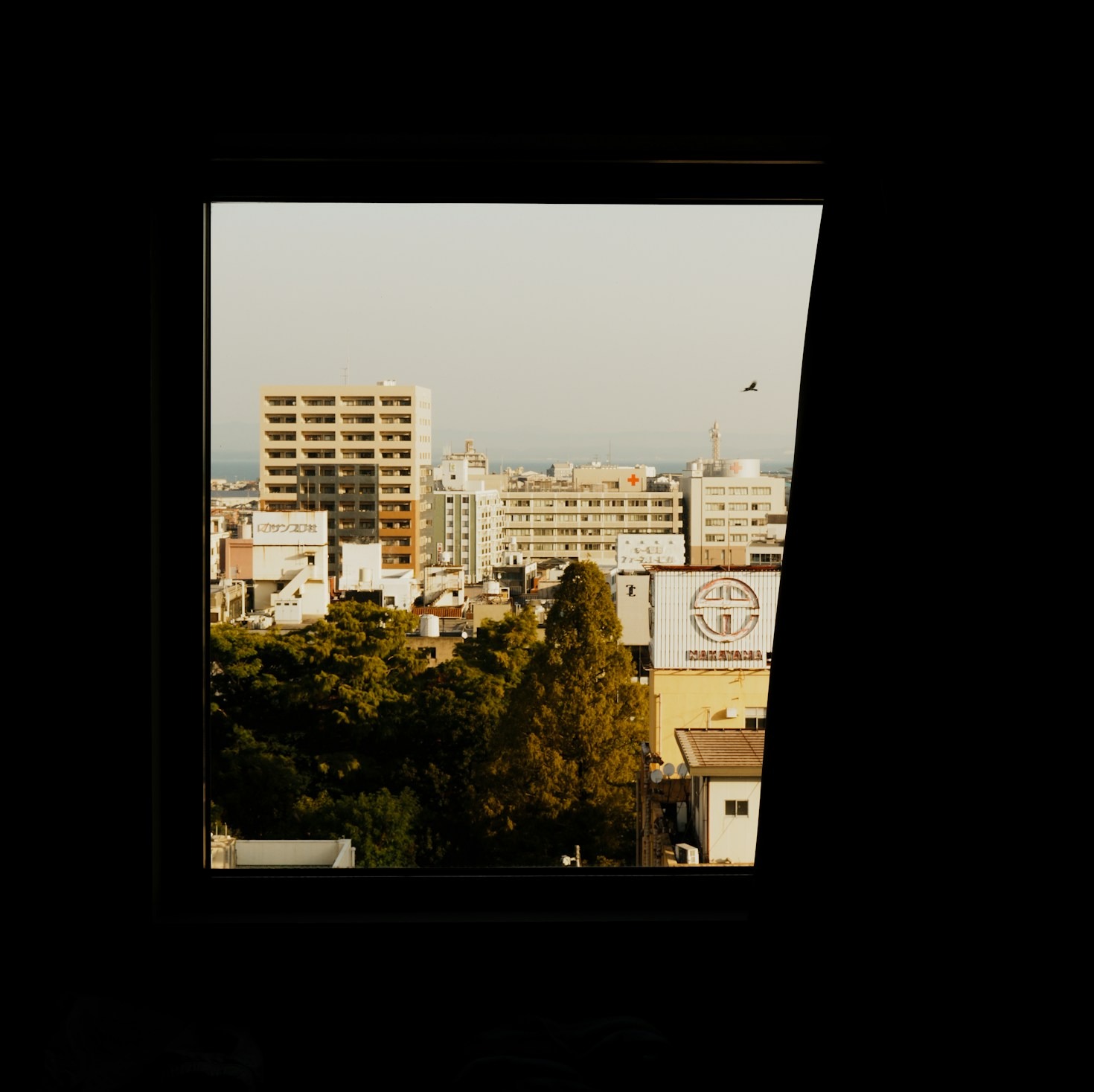 Top Reasons to Invest in Ceramic Window Films