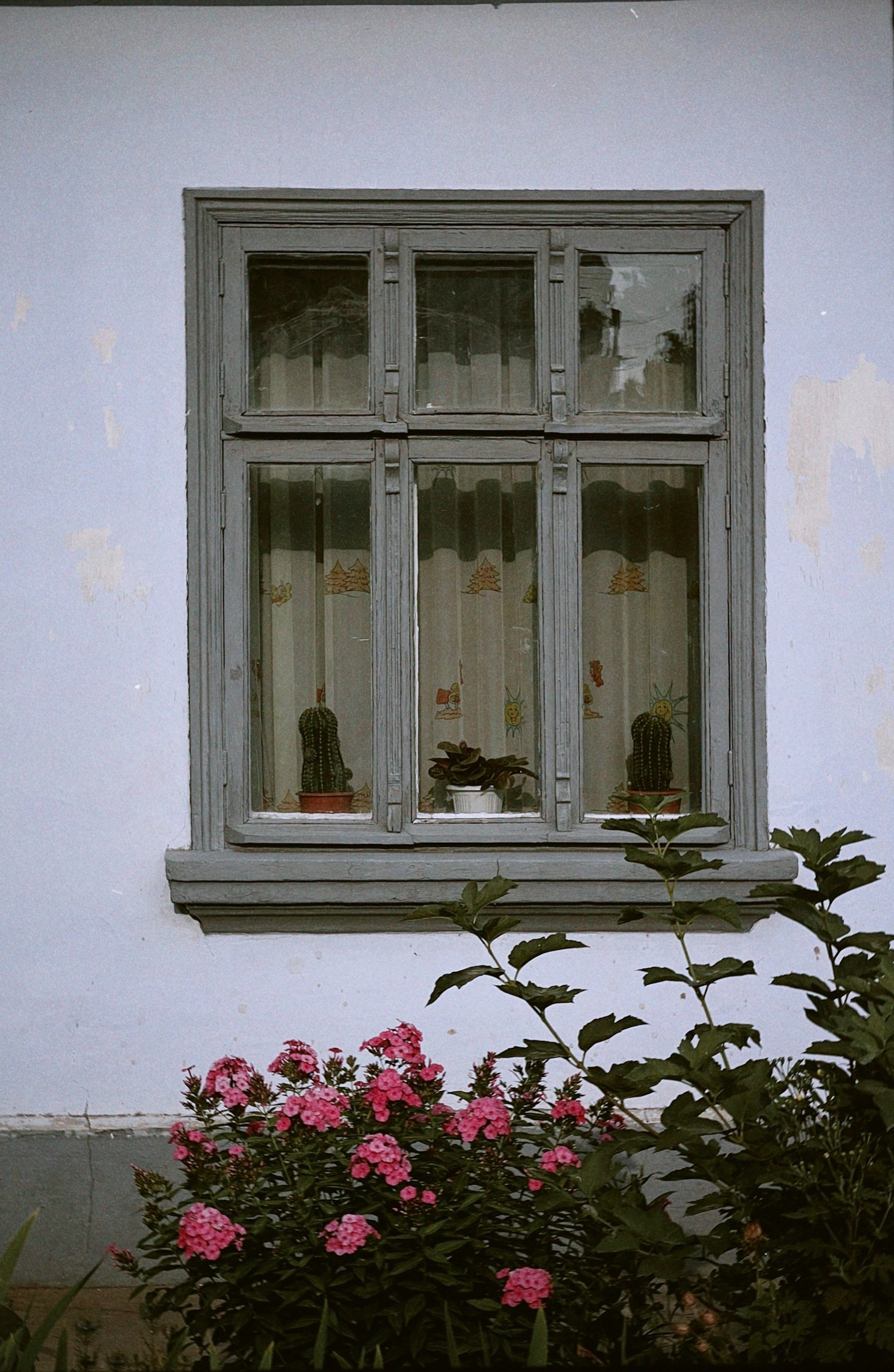 The Role of Window Tinting in Commercial Energy Savings