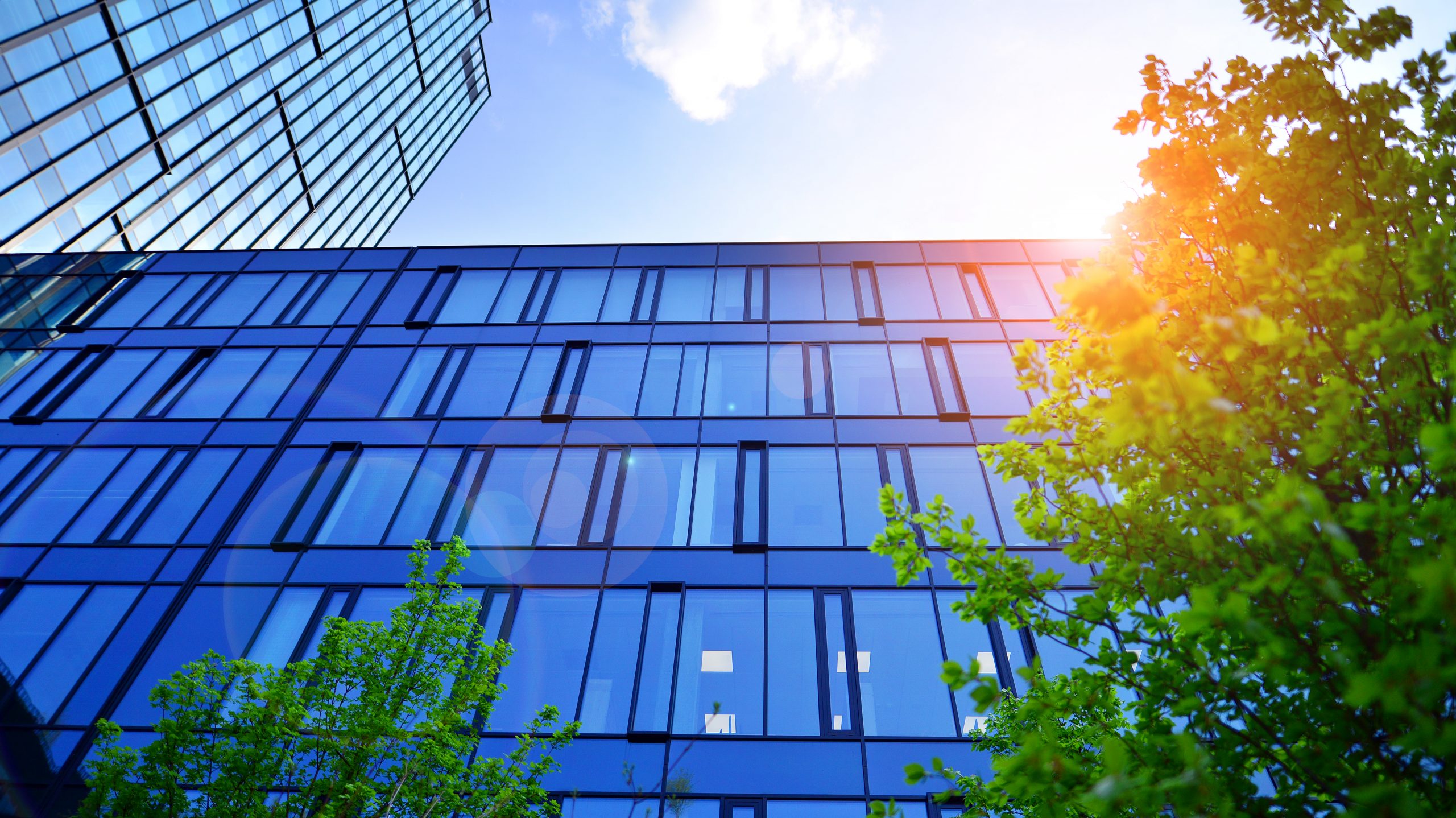 Unveiling the Truth: Debunking Common Myths About Window Tinting