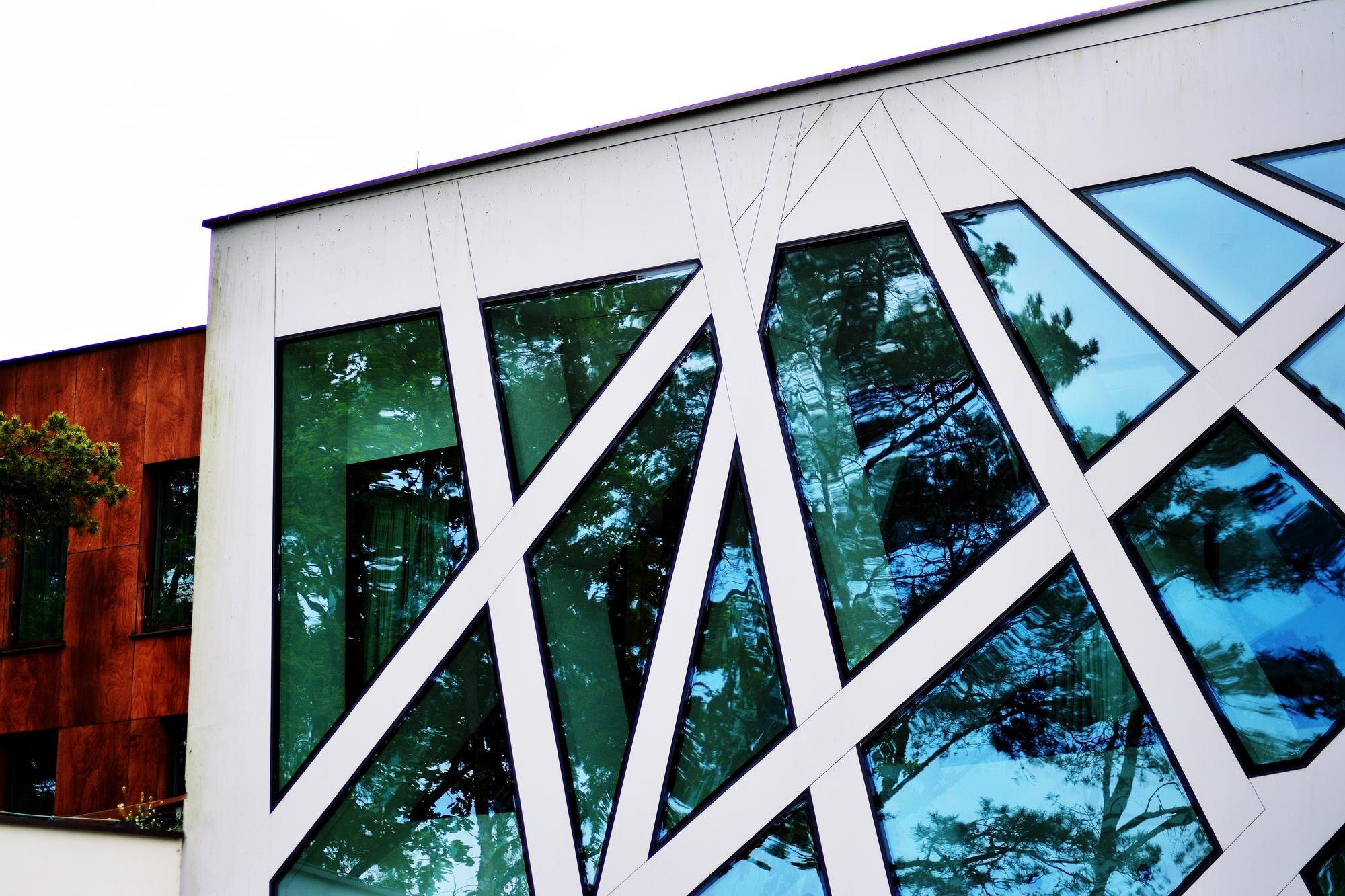 Transform Your Space with Decorative Window Films: A Stylish and Functional Solution
