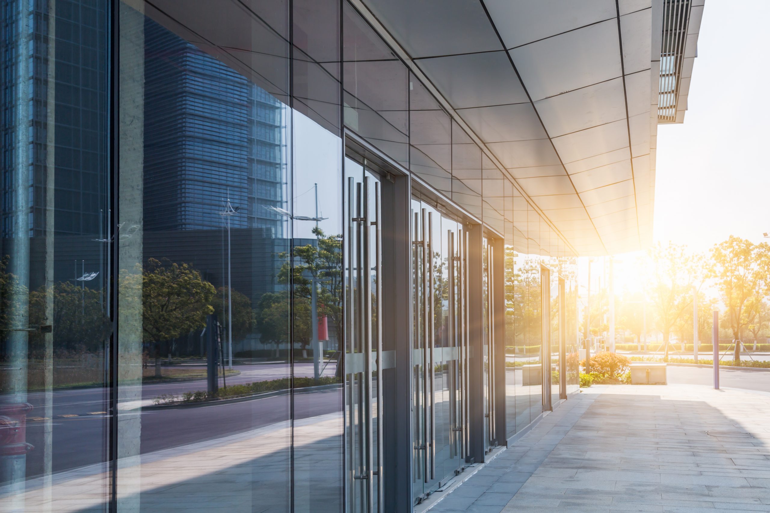 Why Professional Installation Matters for Window Film Longevity